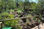 The Bridge and Path