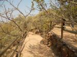 The Bridge and Path