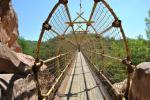 The Bridge and Path