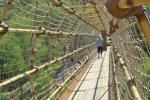 The Bridge and Path