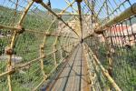 The Bridge and Path