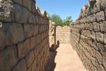 Pathway in the Maze 