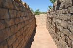 Pathway in the Maze 