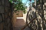 The trees have grown through the walls 